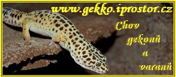 Chov gekonů a varanů